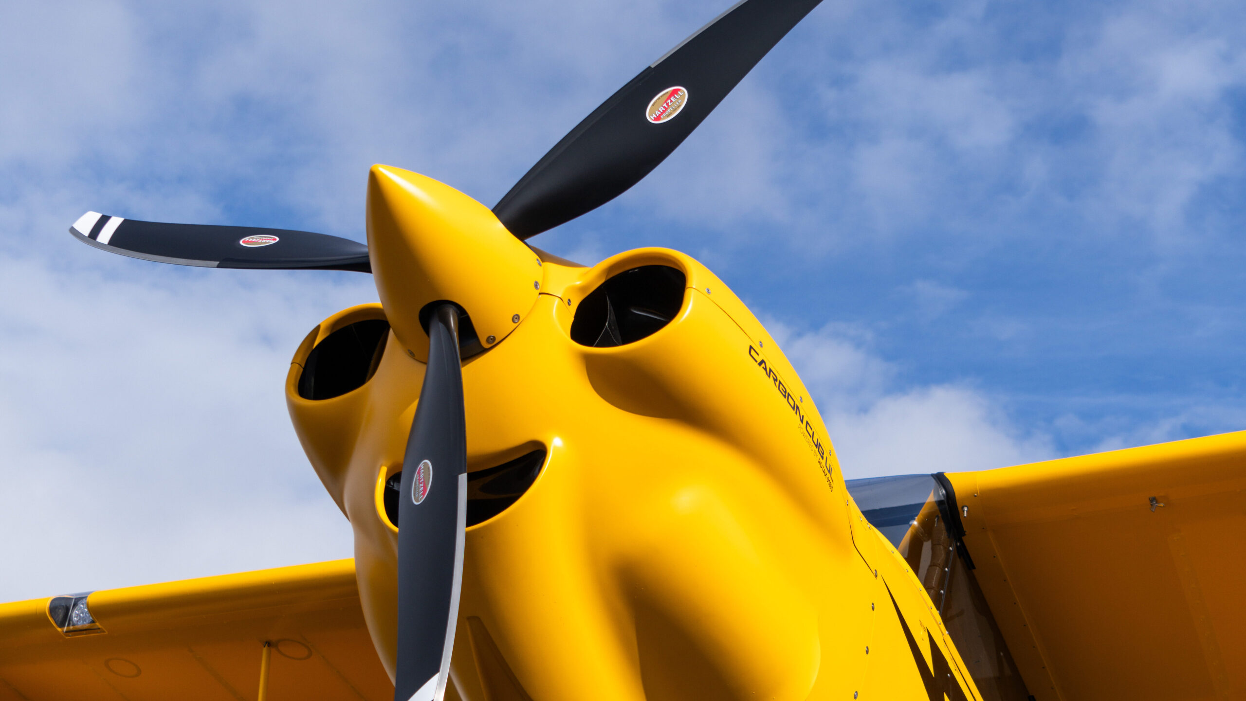 Falcon Rotax